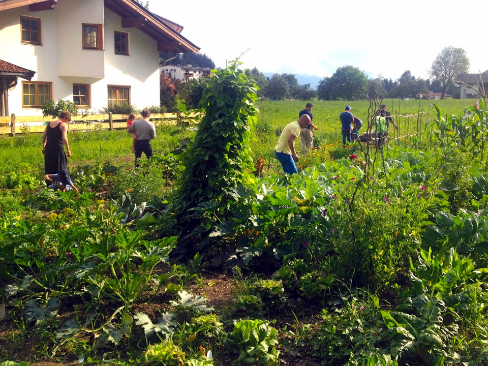 Gemeinschaftsgarten